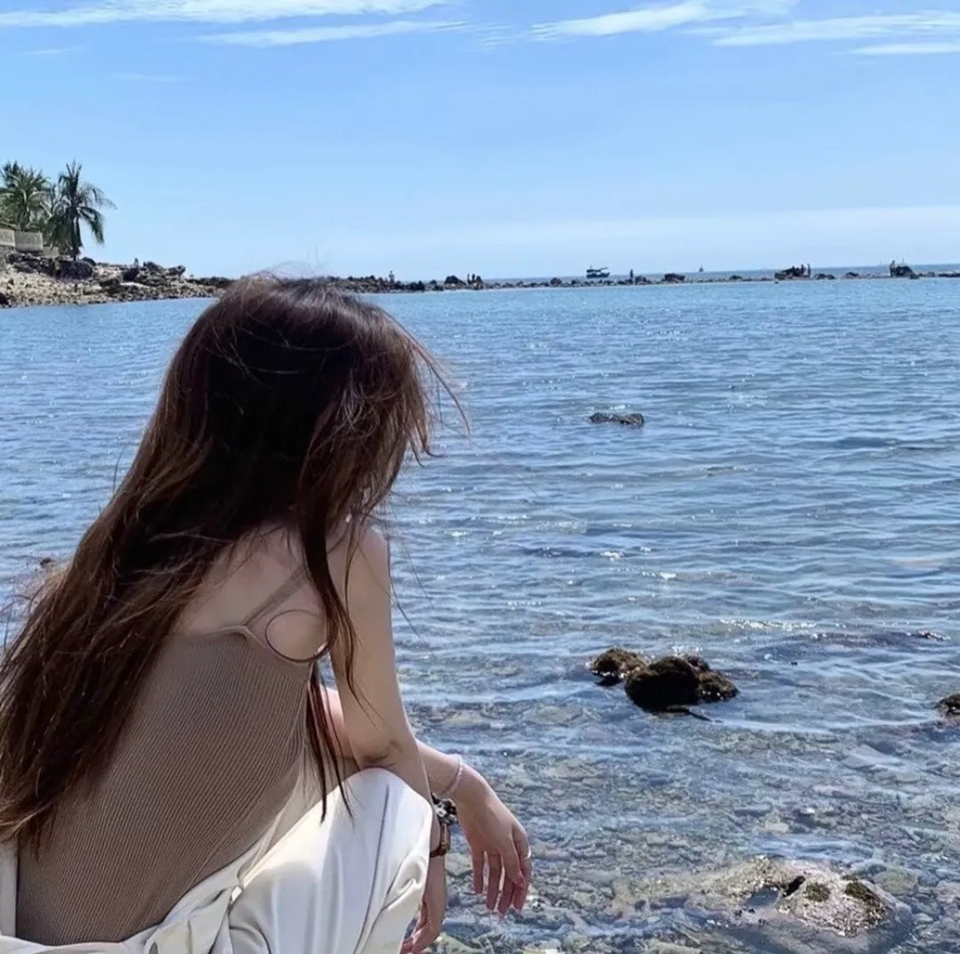 已上漆的房子 海报